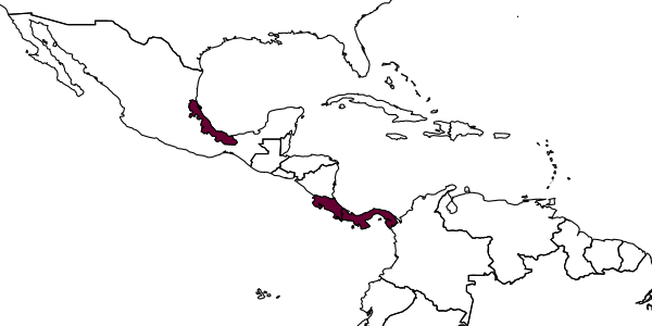 map of Manaos kimseyae     Smith, in Kimsey & Smith, 1985